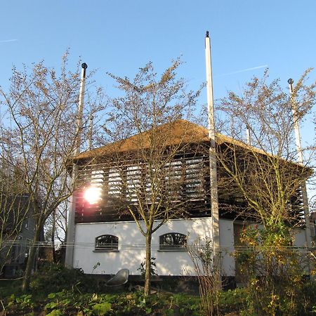 维斯普欧佛霍恩农庄住宿加早餐旅馆 外观 照片